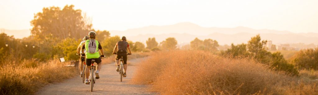 Aktivitäten auf Mallorca
